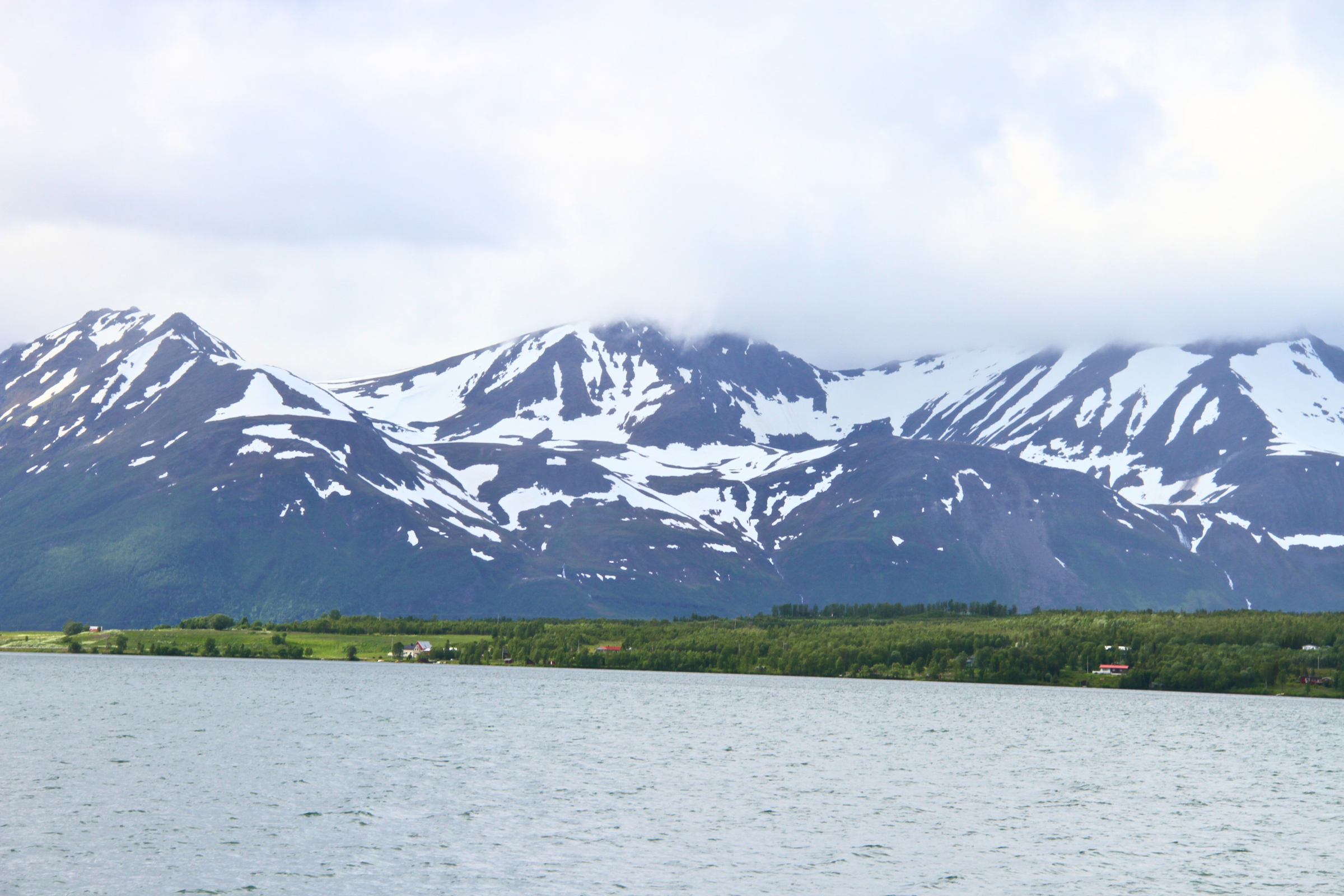lyngen alps.webp